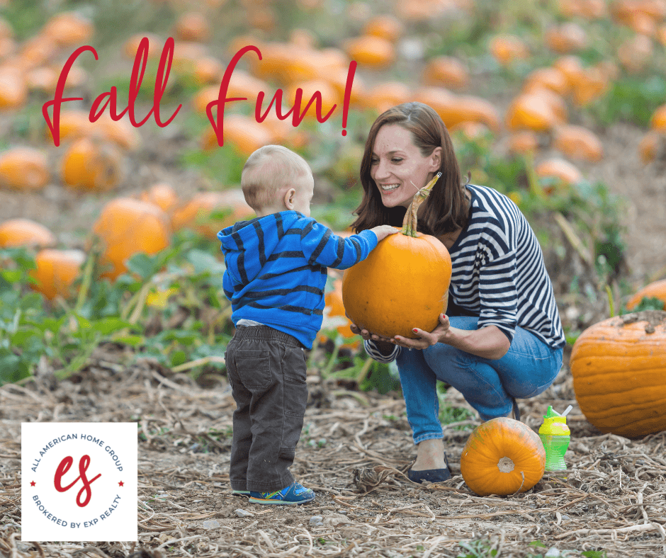 Corpus Christi pumpkin patches